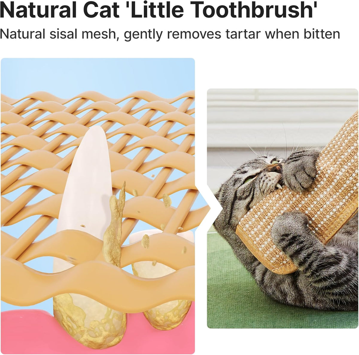 Cat Toys Pack of 2 with 6000Mg A+ Organic Catnip, Sisal Material