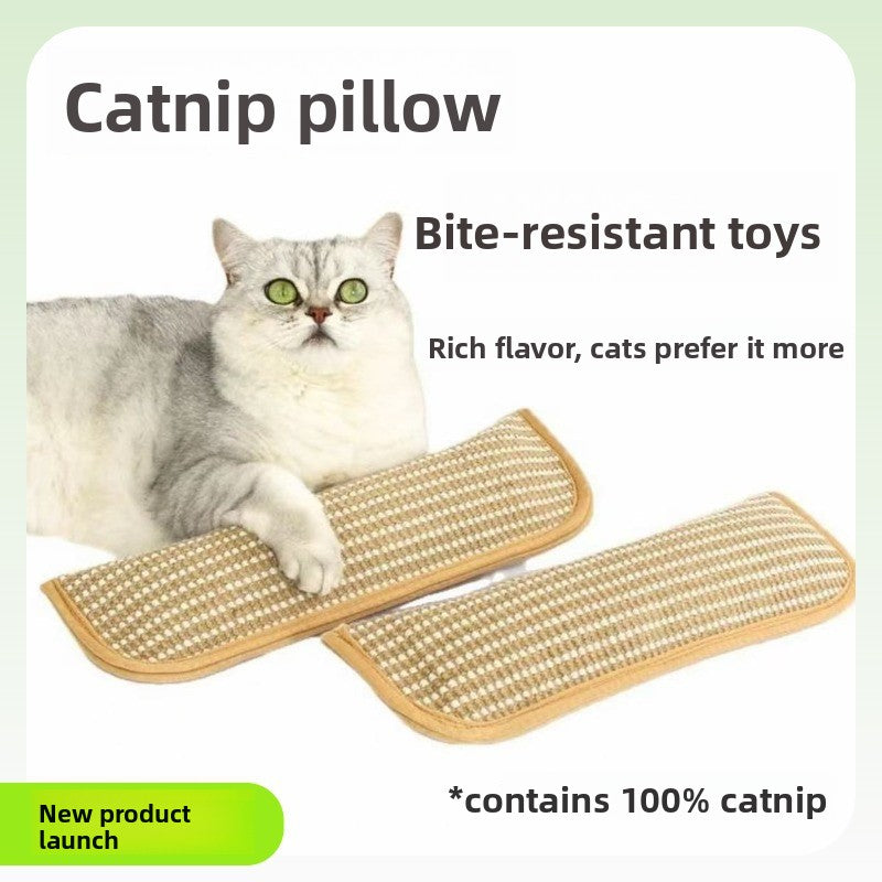 Catnip pillow