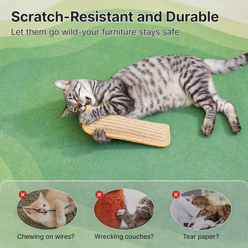 Cat Toys Pack of 2 with 6000Mg A+ Organic Catnip, Sisal Material