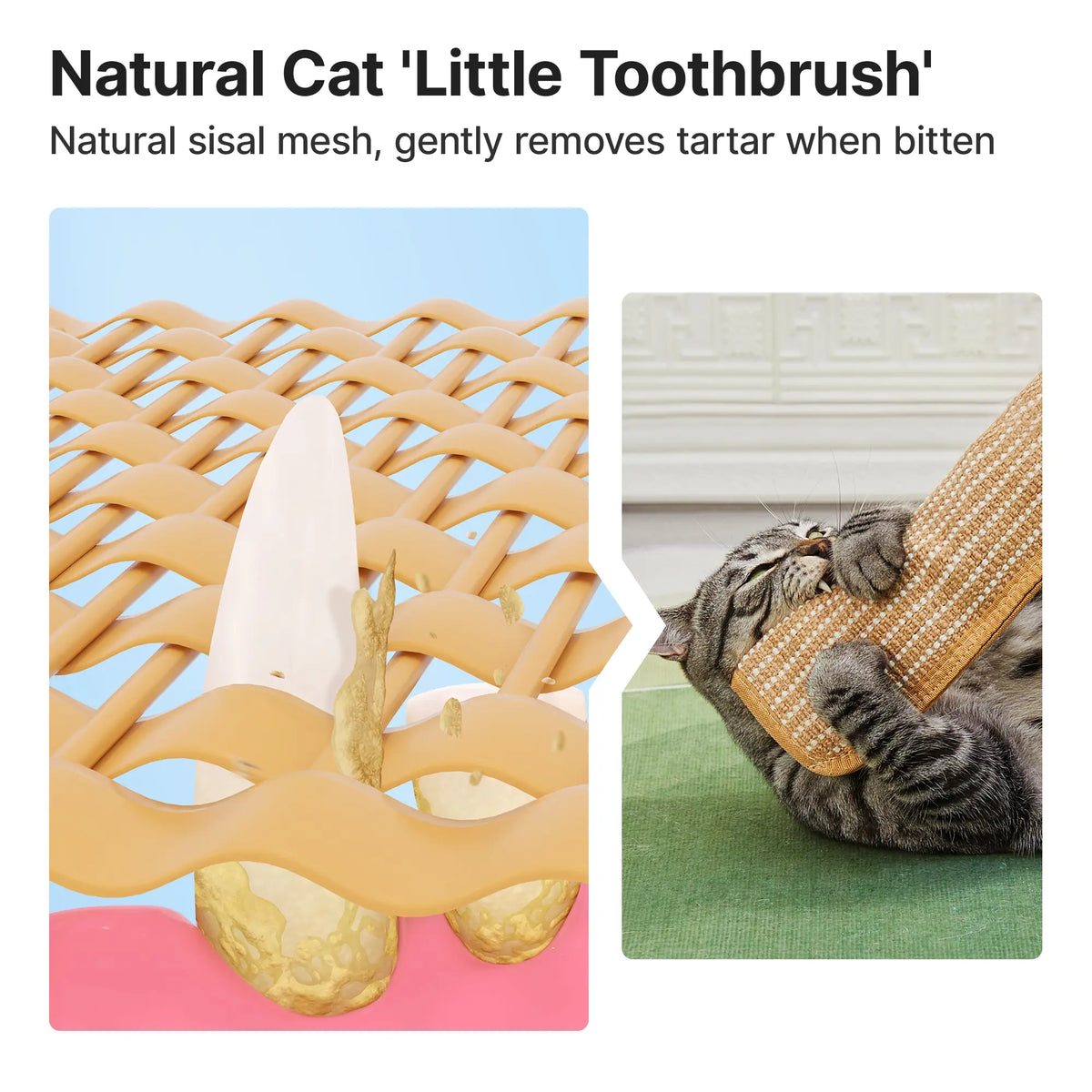Natural Sisal Cat Play Cuddles